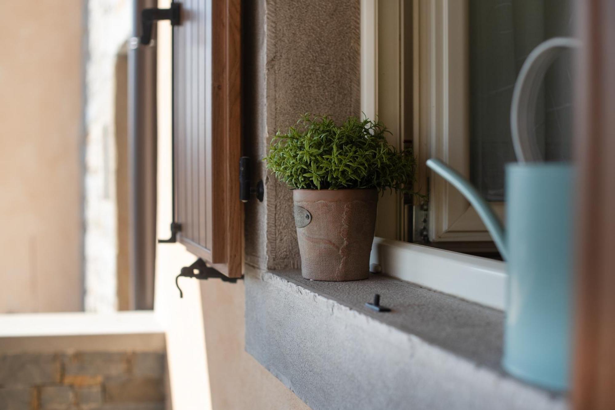 Truffle House Karlic Lägenhet Buzet Exteriör bild
