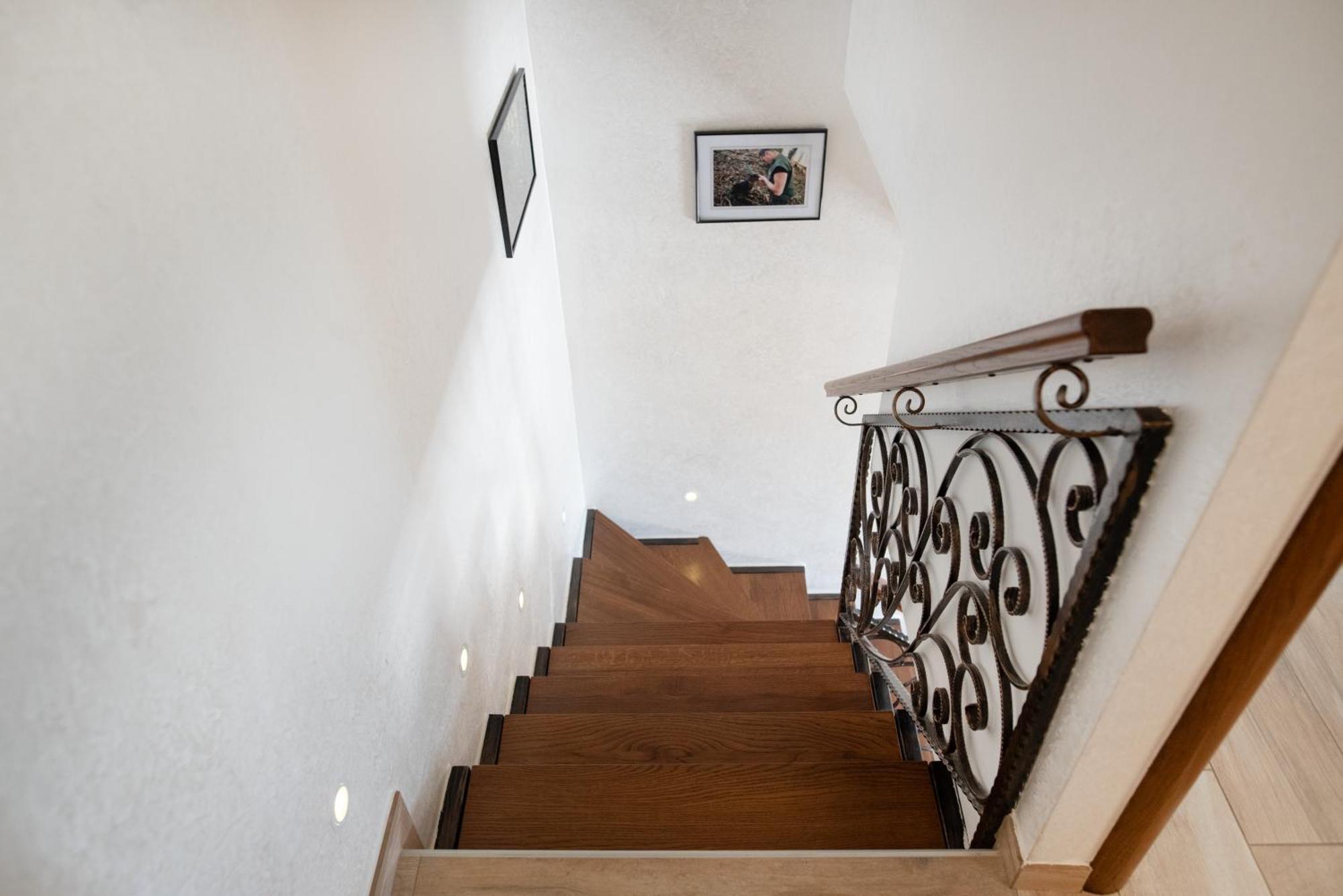 Truffle House Karlic Lägenhet Buzet Exteriör bild